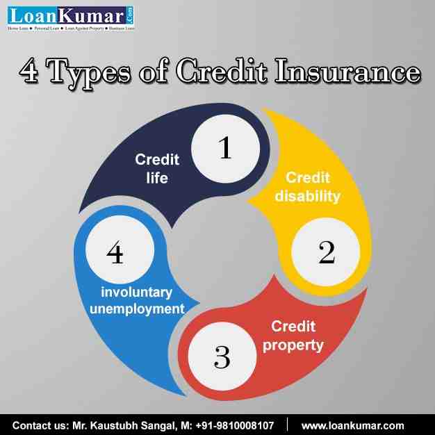 What are the 2 types of loans?