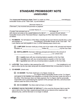 How do I replace a promissory note?